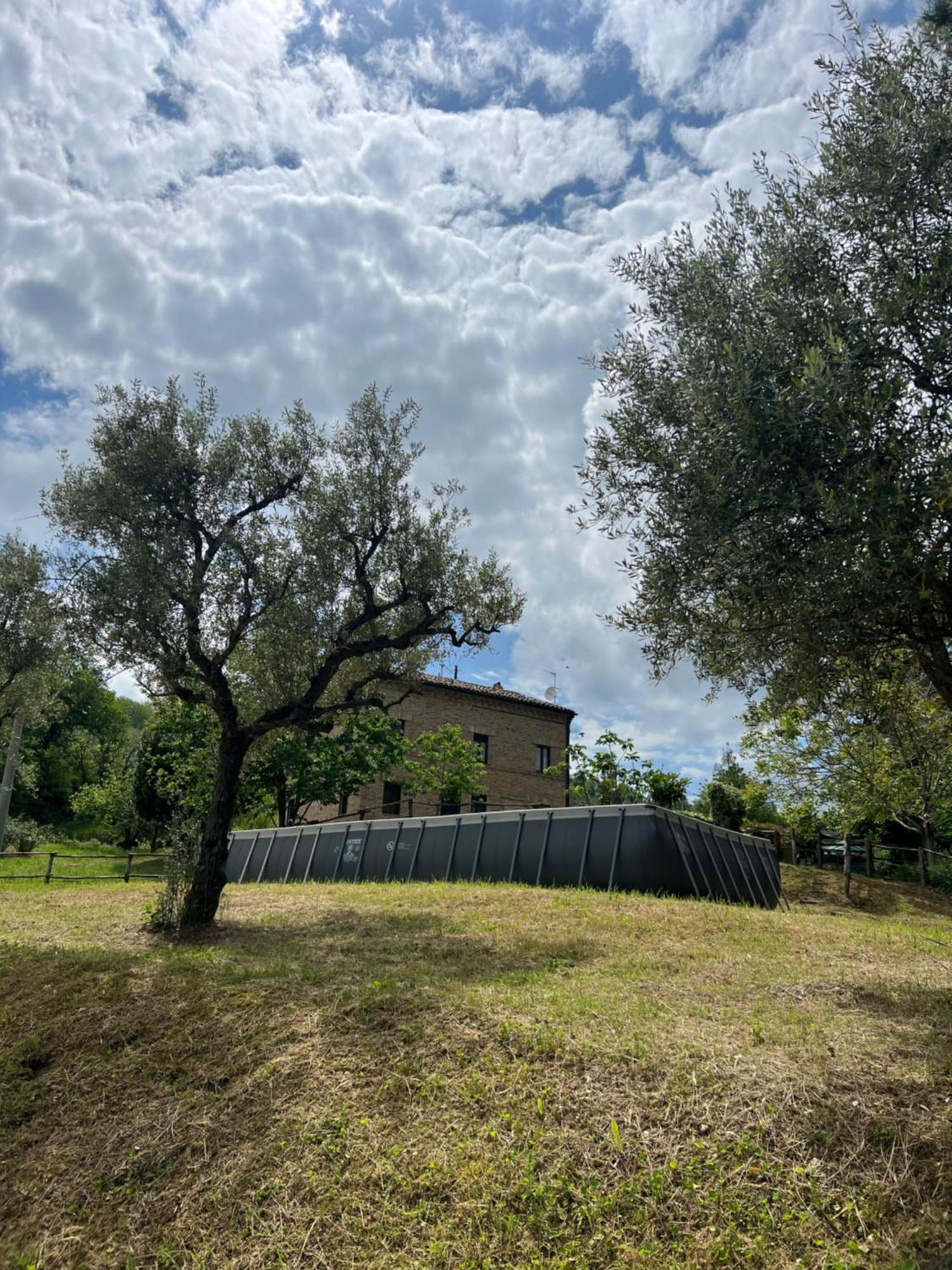 Tenuta Gran Bosco Loro Piceno Luaran gambar