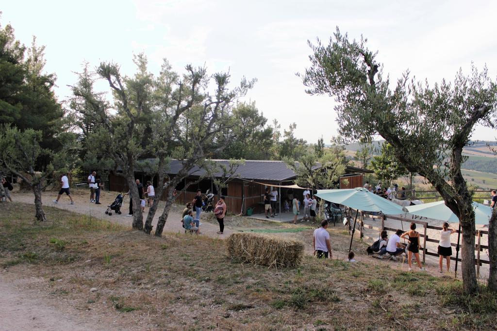 Tenuta Gran Bosco Loro Piceno Luaran gambar