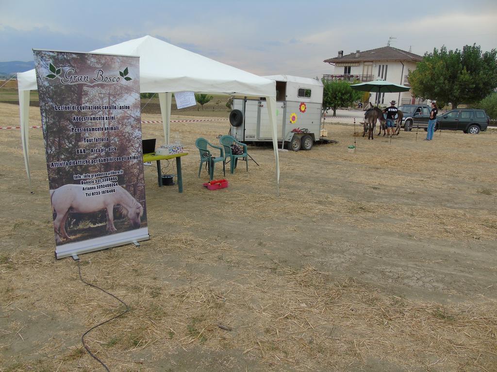 Tenuta Gran Bosco Loro Piceno Luaran gambar