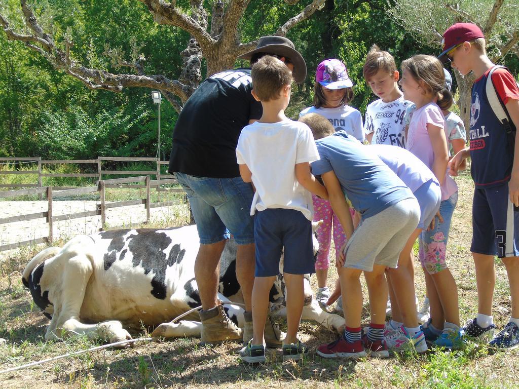 Tenuta Gran Bosco Loro Piceno Luaran gambar
