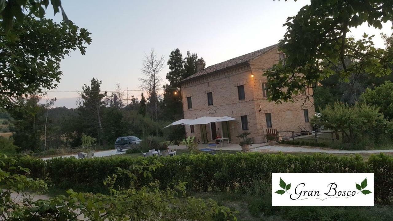 Tenuta Gran Bosco Loro Piceno Luaran gambar