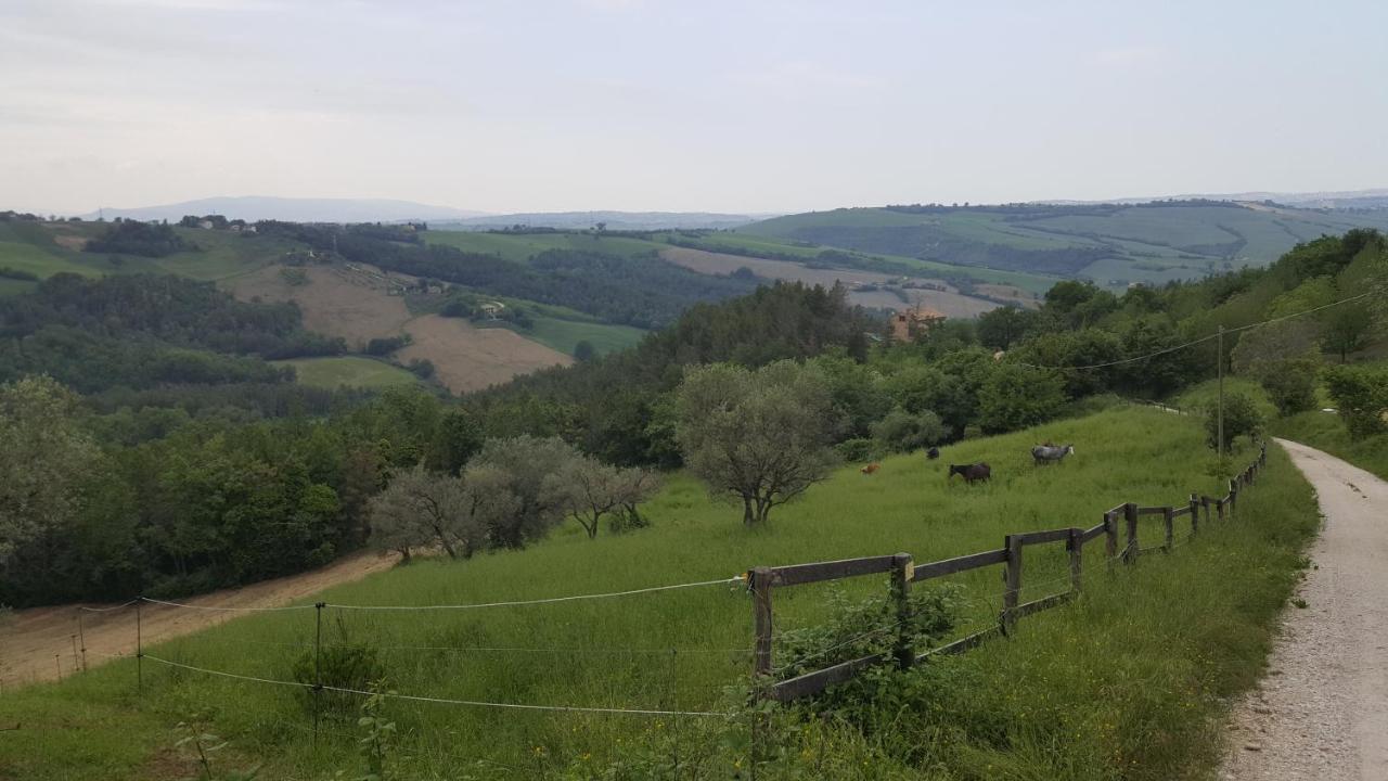 Tenuta Gran Bosco Loro Piceno Luaran gambar